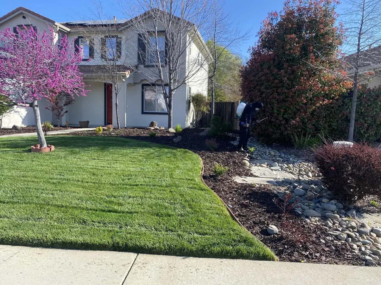 Perez garden care with flowering trees and a maintained lawn