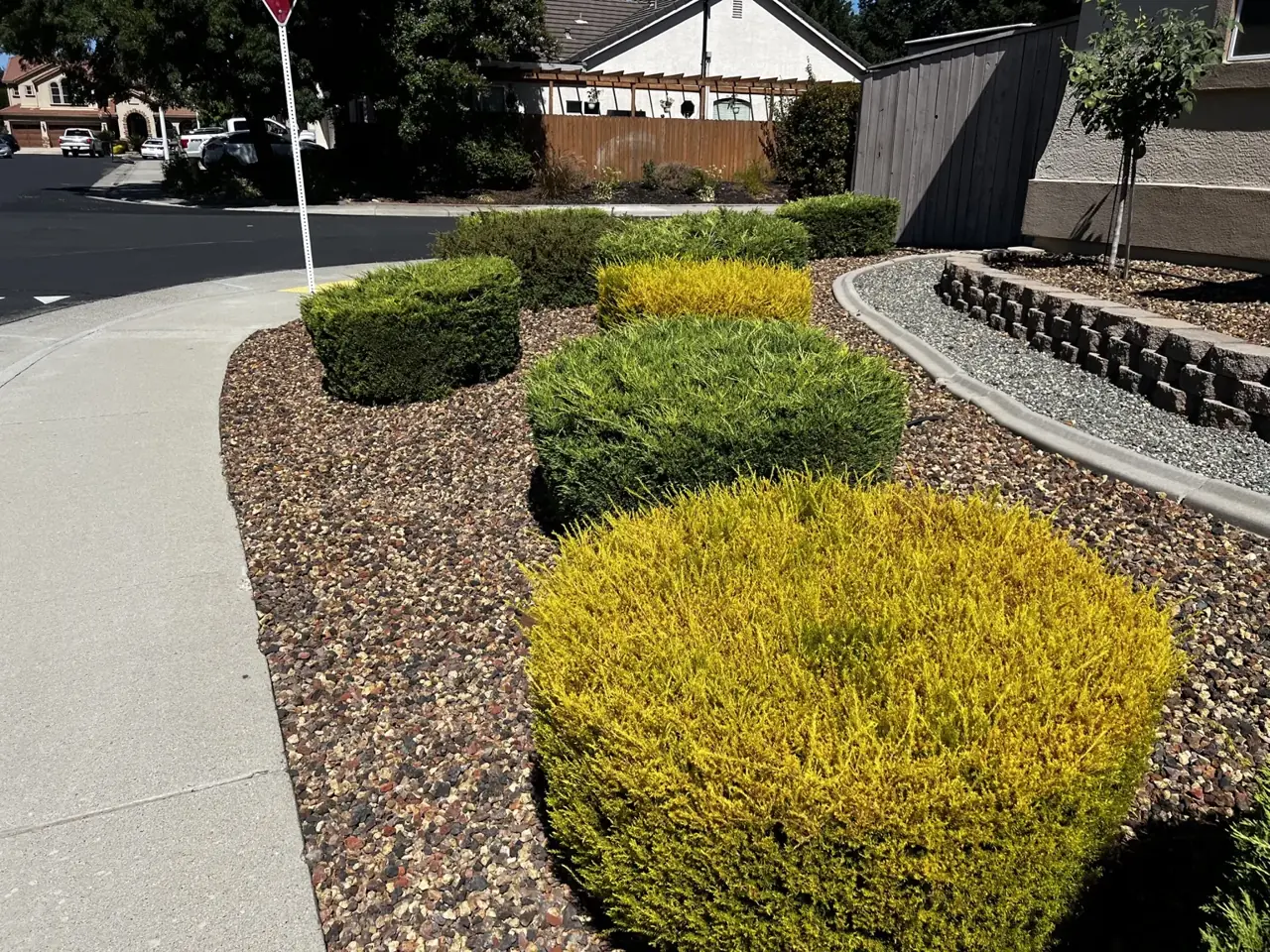 Plants & garden care