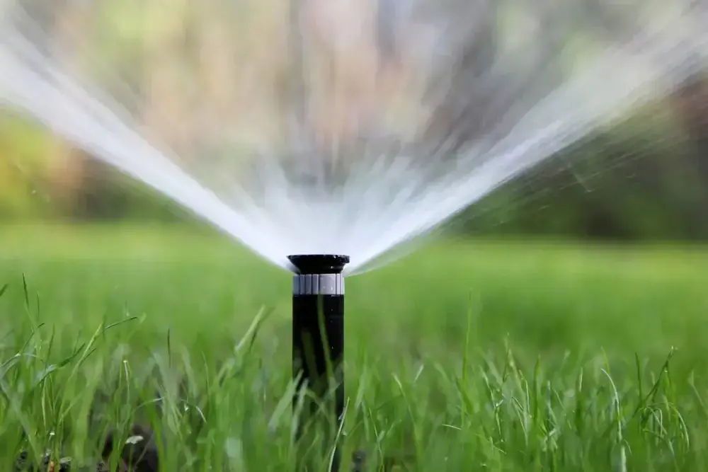 A sprinkler watering a lawn